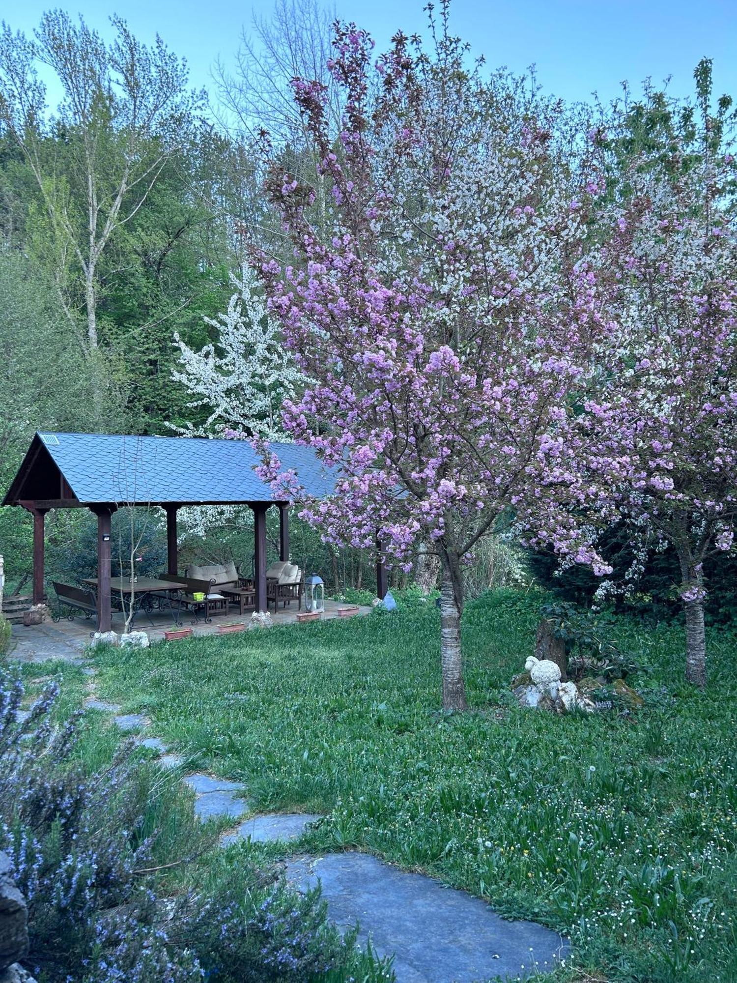 Casa Begona Villa Iguena Eksteriør billede